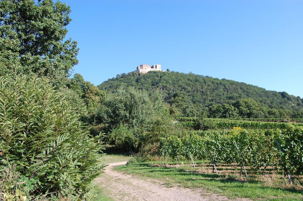 Landgasthof Jaegerstuebchen Neustadt an der Weinstrasse Exterior photo